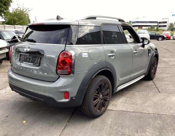 Door MINI MINI COUNTRYMAN (F60)