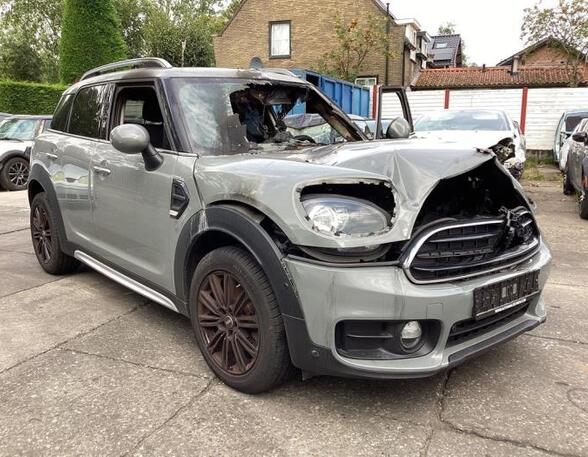 Door MINI MINI COUNTRYMAN (F60)