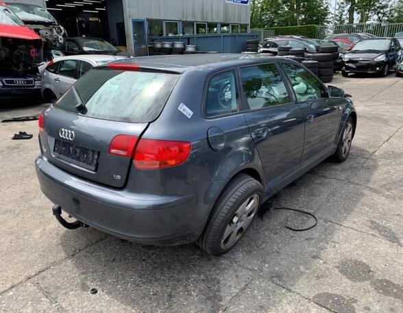 Door AUDI A3 (8P1), AUDI A3 Sportback (8PA)