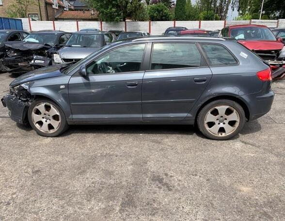 Door AUDI A3 (8P1), AUDI A3 Sportback (8PA)