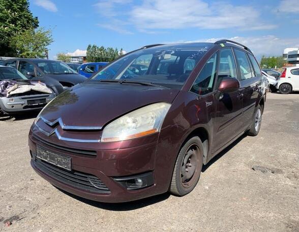 Door CITROËN C4 GRAND PICASSO I (UA_), CITROËN C4 PICASSO I MPV (UD_)