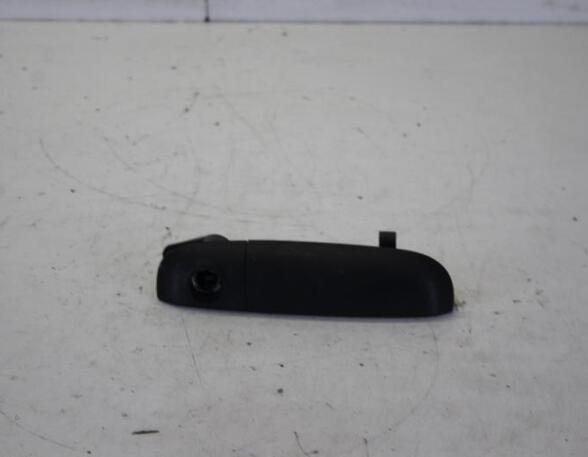 Door Handle FIAT PANDA (312_, 319_), FIAT PANDA VAN (312_, 519_), LANCIA YPSILON (312_)