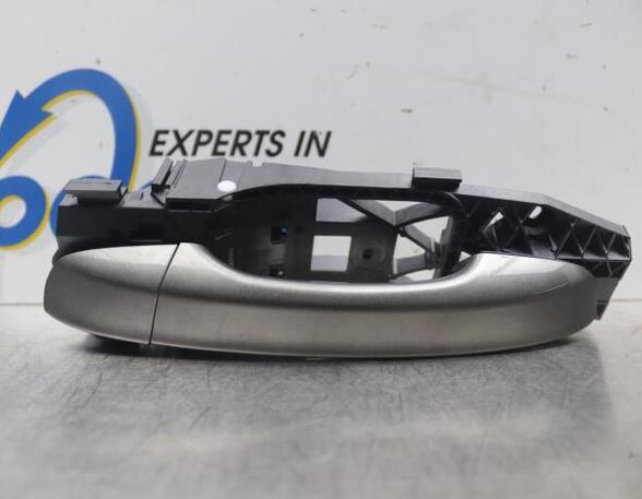 Door Handle VW POLO (AW1, BZ1)