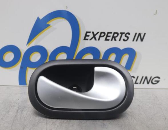 Door Handle RENAULT TWINGO II (CN0_)