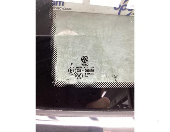 Door Glass VW TIGUAN (AD1, AX1), VW TIGUAN ALLSPACE (BW2)