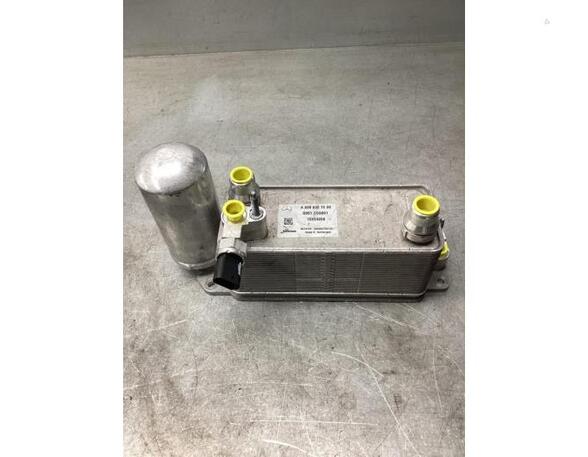 Air Conditioning Condenser MERCEDES-BENZ EQA (H243)