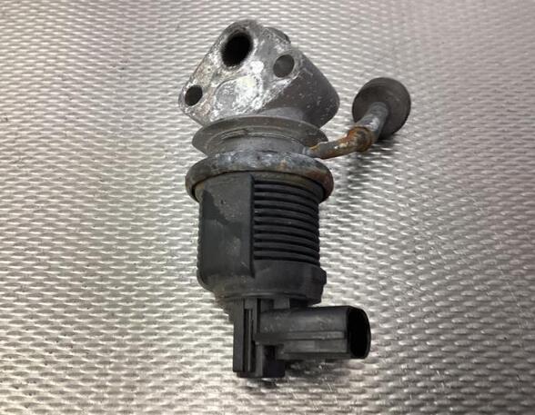 EGR Valve VW GOLF V (1K1)