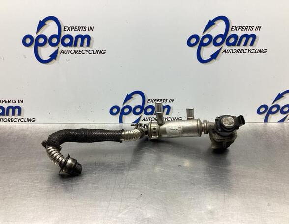 EGR Valve FORD FOCUS II (DA_, HCP, DP)