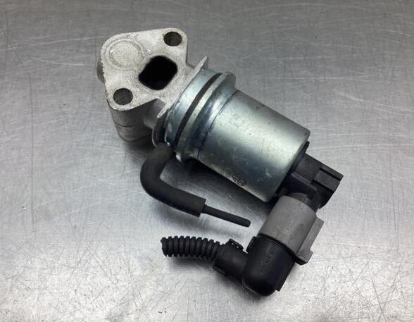 EGR Valve VW POLO (6N2)