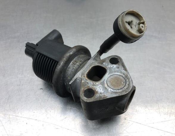 EGR Valve VW POLO (9N_)