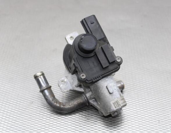 EGR Valve RENAULT CLIO III (BR0/1, CR0/1)