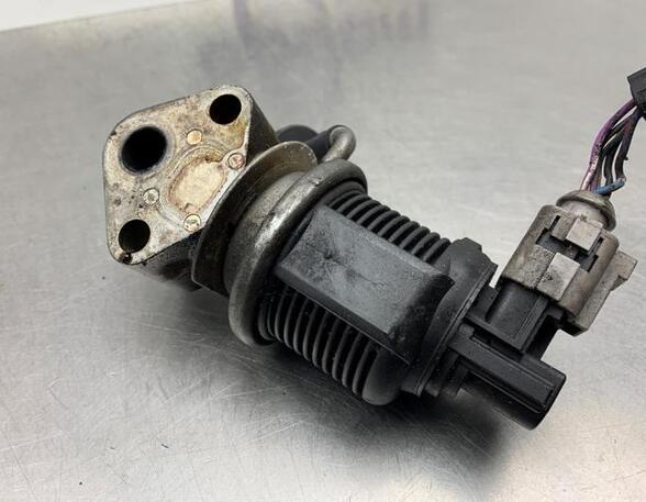 EGR Valve VW GOLF V (1K1)