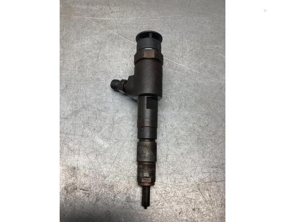 Injector Nozzle CITROËN C3 II (SC_)