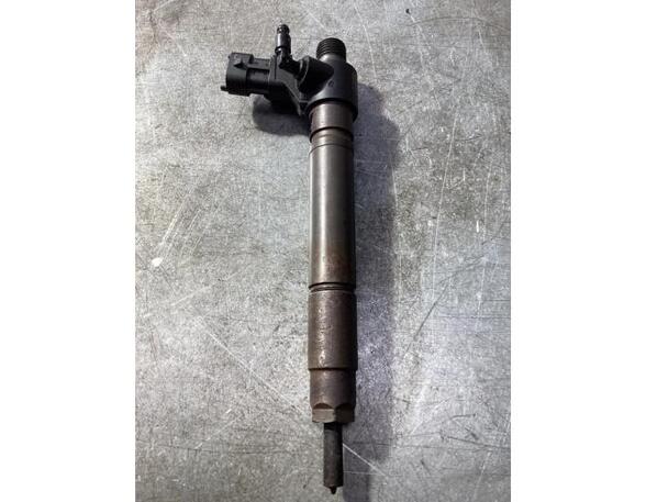 Injector Nozzle LAND ROVER RANGE ROVER EVOQUE (L538)