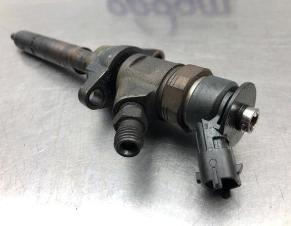 Injector Nozzle CITROËN C4 GRAND PICASSO I (UA_), CITROËN C4 PICASSO I MPV (UD_)