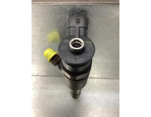 Injector Nozzle CITROËN C3 II (SC_)