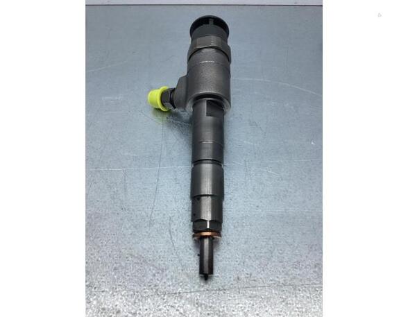 Injector Nozzle FORD TRANSIT CONNECT V408 Box Body/MPV