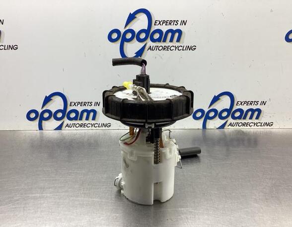 Fuel Pump FORD FIESTA VI (CB1, CCN)