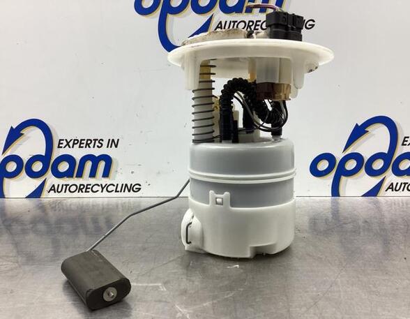 Fuel Pump CITROËN C5 III (RD_)