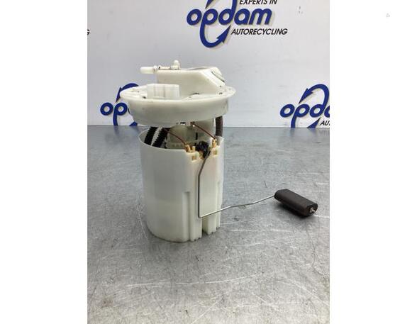 Fuel Pump FORD FIESTA VI (CB1, CCN)