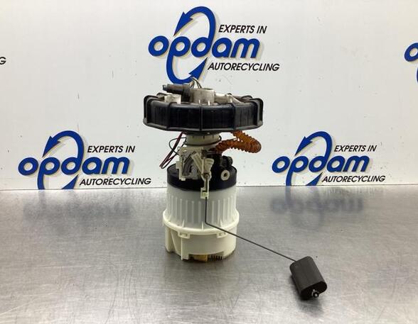 Fuel Pump FORD C-MAX (DM2)