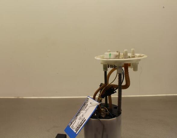 Fuel Pump AUDI A6 (4F2, C6)