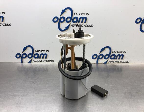 Fuel Pump VW GOLF PLUS (5M1, 521)