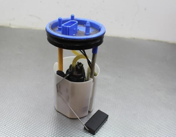 Fuel Pump SEAT IBIZA IV (6J5, 6P1), SEAT IBIZA IV SC (6J1, 6P5)