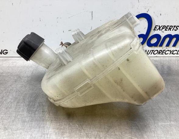 Coolant Expansion Tank RENAULT TWINGO II (CN0_)