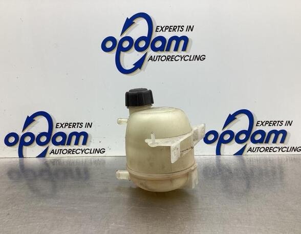 Coolant Expansion Tank DACIA LOGAN MCV (KS_), DACIA DUSTER (HS_), RENAULT LOGAN I Estate (KS_), DACIA DOKKER MPV (KE_)