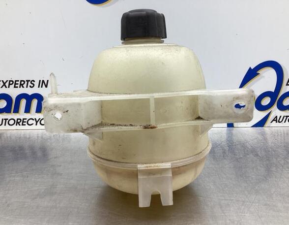 Coolant Expansion Tank DACIA LOGAN MCV (KS_), DACIA DUSTER (HS_), RENAULT LOGAN I Estate (KS_), DACIA DOKKER MPV (KE_)