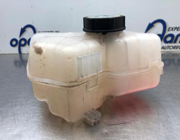 Coolant Expansion Tank FORD FIESTA VI (CB1, CCN), FORD FIESTA VI Van