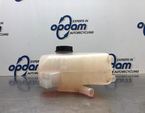 Coolant Expansion Tank FORD FIESTA VI (CB1, CCN), FORD FIESTA VI Van