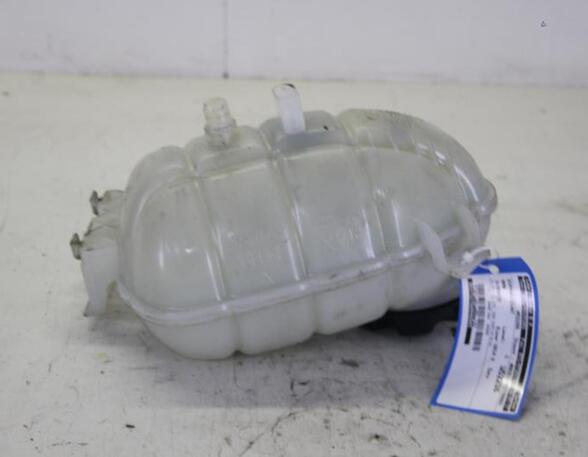 Coolant Expansion Tank BMW 3 (F30, F80)