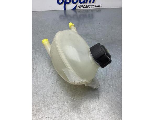 Coolant Expansion Tank RENAULT CLIO IV Grandtour (KH_), RENAULT CLIO III Grandtour (KR0/1_)