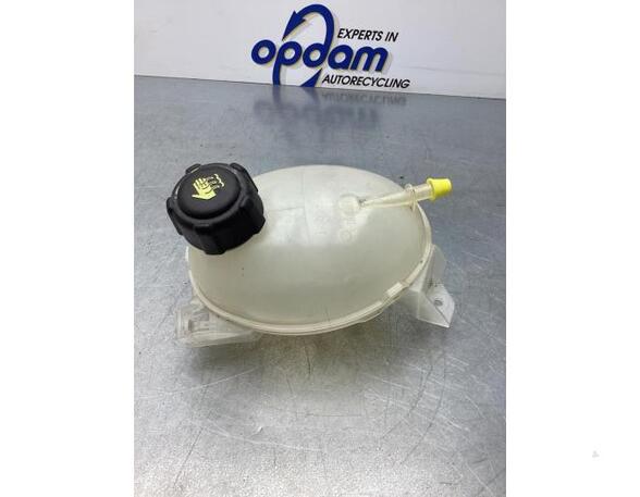 Coolant Expansion Tank RENAULT CLIO IV Grandtour (KH_), RENAULT CLIO III Grandtour (KR0/1_)