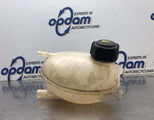 Coolant Expansion Tank RENAULT CAPTUR I (J5_, H5_)