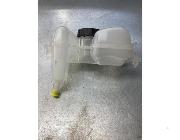 Coolant Expansion Tank VOLVO XC90 II (256)