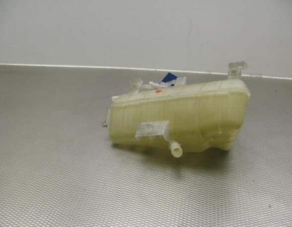 Coolant Expansion Tank RENAULT KANGOO Express (FW0/1_), RENAULT KANGOO / GRAND KANGOO (KW0/1_)