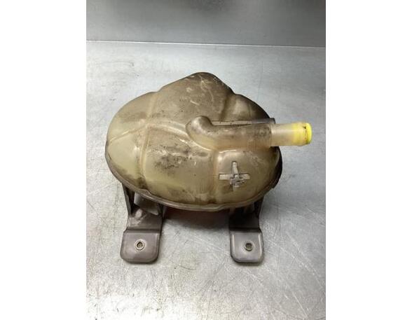 Coolant Expansion Tank FIAT DOBLO Cargo (263_), FIAT DOBLO MPV (263_), FIAT DOBLO Platform/Chassis (263_)