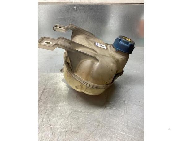 Coolant Expansion Tank FIAT DOBLO Cargo (263_), FIAT DOBLO MPV (263_), FIAT DOBLO Platform/Chassis (263_)