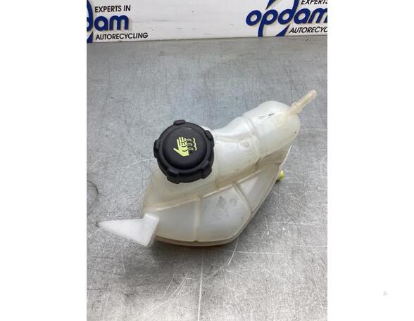 Coolant Expansion Tank RENAULT KADJAR (HA_, HL_)