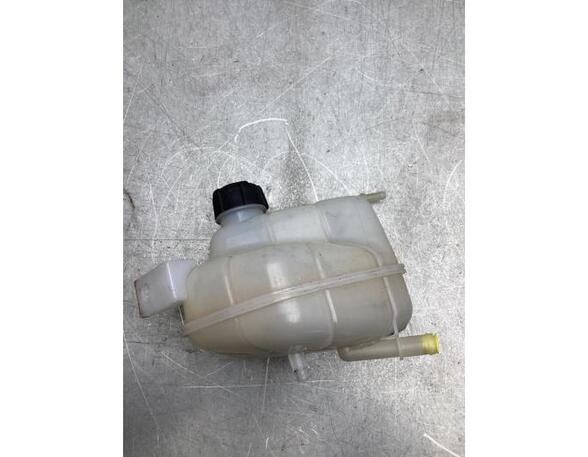 Coolant Expansion Tank RENAULT KADJAR (HA_, HL_)