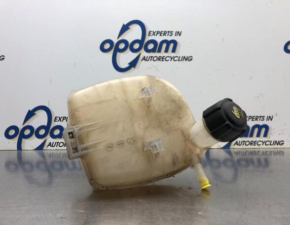 Coolant Expansion Tank RENAULT TWINGO II (CN0_)