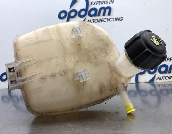 Coolant Expansion Tank RENAULT TWINGO II (CN0_)