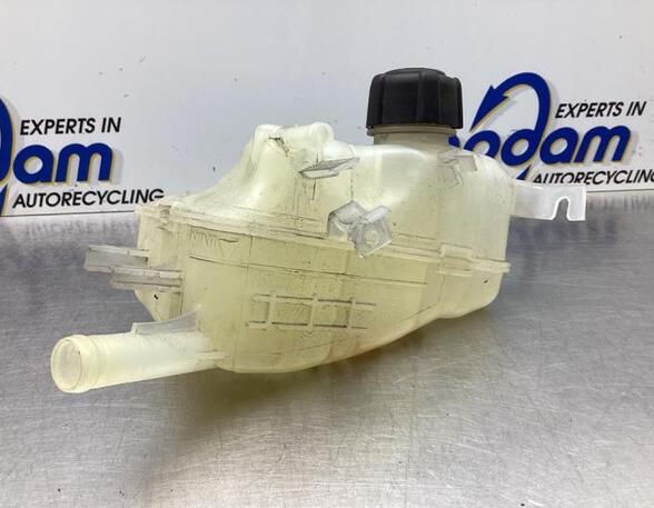 Coolant Expansion Tank RENAULT SCÉNIC III (JZ0/1_), RENAULT GRAND SCÉNIC III (JZ0/1_)