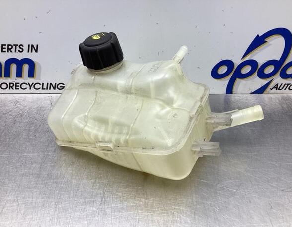 Coolant Expansion Tank RENAULT SCÉNIC III (JZ0/1_), RENAULT GRAND SCÉNIC III (JZ0/1_)