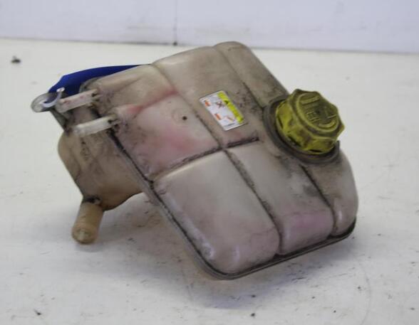 Coolant Expansion Tank FORD TRANSIT CONNECT (P65_, P70_, P80_)