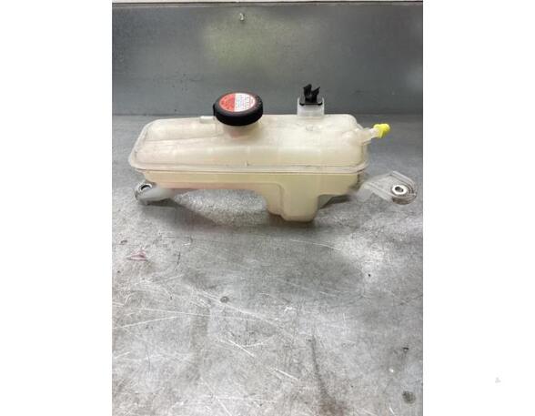 Coolant Expansion Tank TOYOTA RAV 4 IV (_A4_)