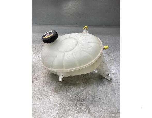 Coolant Expansion Tank HYUNDAI IONIQ (AE)